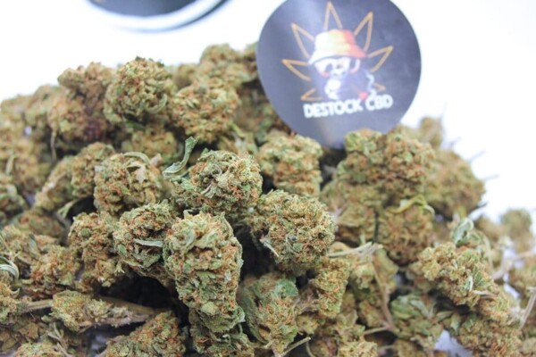 Mini buds Orange buds