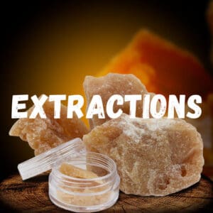 Extractions CBD